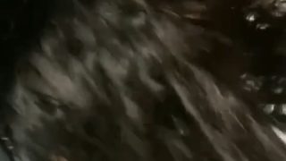 Hermosa Brasileña Chupandosela a Bruno Diferente